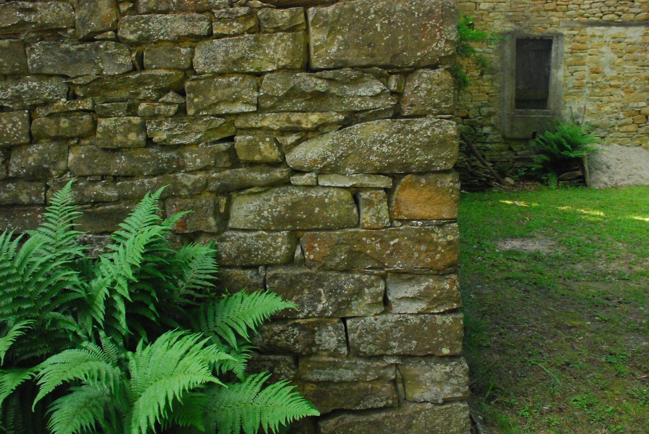 Casa Asso Di Coppe B&B Alba  Bagian luar foto
